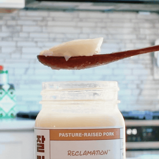 Spoonful of Reclamation Korean-Style Pork Bone Broth jiggling on spoon in front of kitchen counter