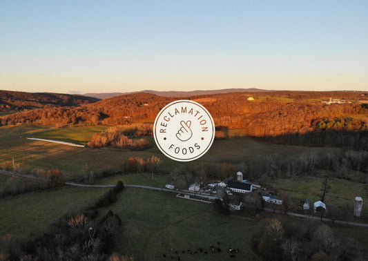 Overhead shot of Chaseholm Farm