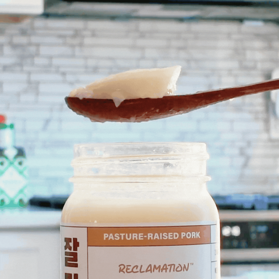 Spoonful of Reclamation Korean-Style Pork Bone Broth jiggling on spoon in front of kitchen counter